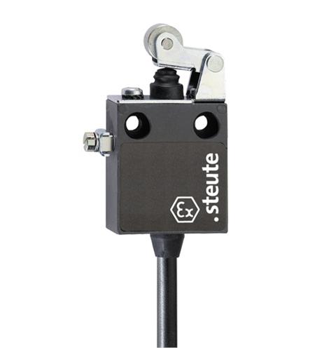 Ex Position switch Ex 12 WH 1m IP65 (1CO) II 2G Ex d IIC T6